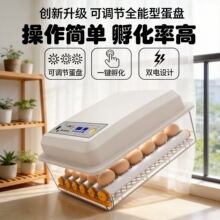 全自动智能孵化器小型家用型孵蛋器鸡鸭鹅鸽子孵化机小鸡孵蛋机