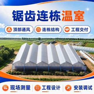 温室大棚定制薄膜新型畜牧养殖果蔬锯齿连栋温室蔬菜种植椭圆管棚