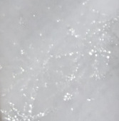 Fabricantes bajos precios de promoción de nylon Beidou estrella sequinaria malla urdimbre vestido vestido damas de honor tela