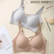 �¿�o�ۗl�y������o�Ȧ�����z�lܛ֧�ξ۔n�����ո���������