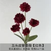 Five Scalp Rose-Red
