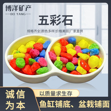 ʯw~쾰ʯɳZʯɫСʯʯ