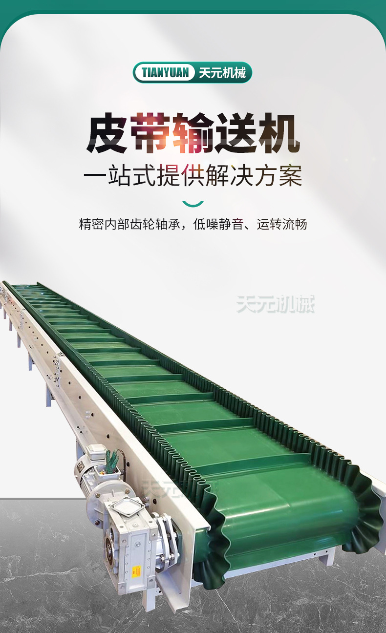 0出版---天元-皮带输送机_02.jpg