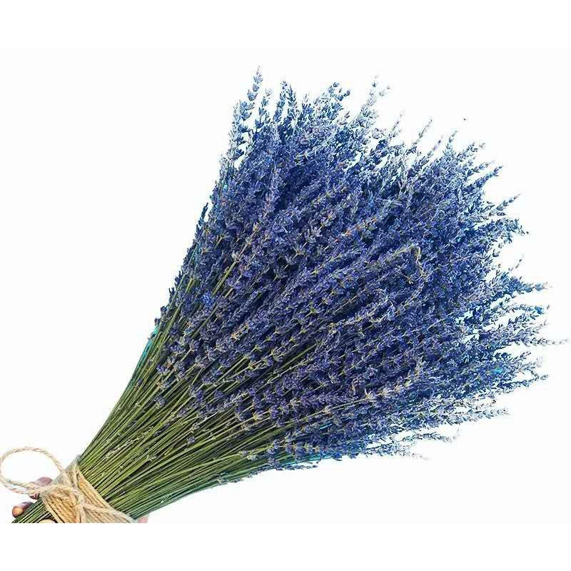 Букет из сушеных цветов лаванды, товары для дома, для гостиной, натуральные декоративные элементы из сушеных цветов, для трансграничной торговли