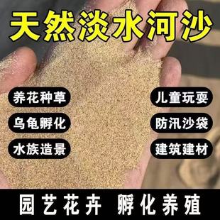 ���l ���B���ĺ�ɳ ���ɰ������ɳ�@ˇ����ˮ���쾰�B���N�ݺ�ɳ