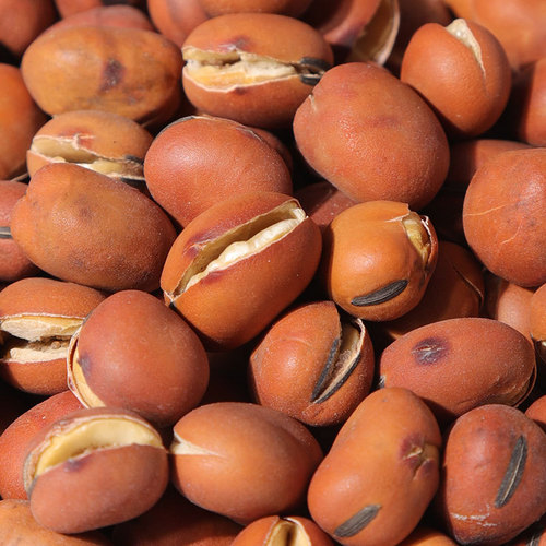 Chuanhaozi Food Original Roasted Edamame 500g, Roasted Beans, Snack, Sold by a Leading Factory