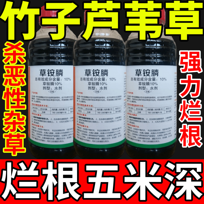 竹子芦苇草盐除草草安草铵磷草胺磷除牛筋草小飞蓬农药强力除草剂