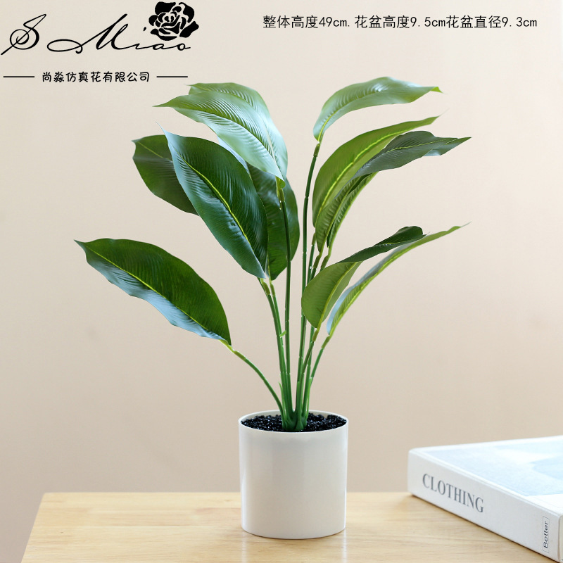 Azul oscuro 830911 plantas verdes en maceta ☆