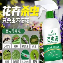 百虫清绿植花小菜园家用杀虫除虫剂红蜘蛛介壳虫蓟马蚜虫月季园艺