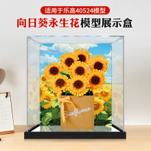 �ǿ���չʾ���������ָ�40524���տ���������ľ����ڼ����ɺ�
