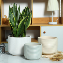 ���W��Ƥ�m���û����մɼ����p�ݸ߼��а�ɫ�����m�J�C�m��������