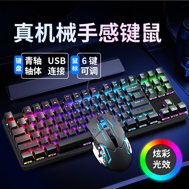 Source Factory 87-Key Gaming Mechanical Keyboard Rgb Wired for Laptop Desktop Office Computer with Mechanical Switches