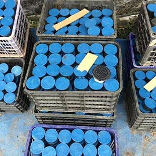 ţ�S�t�����w������l���b�~�D���D��~�����~�D�ϴ�t����