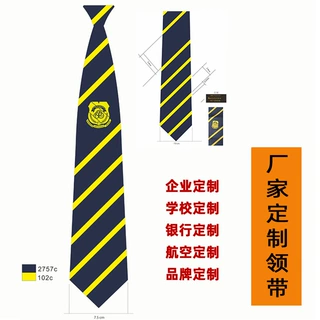 厂家定制学校企业标记领带 JK/DK小物女领带 女士丝巾