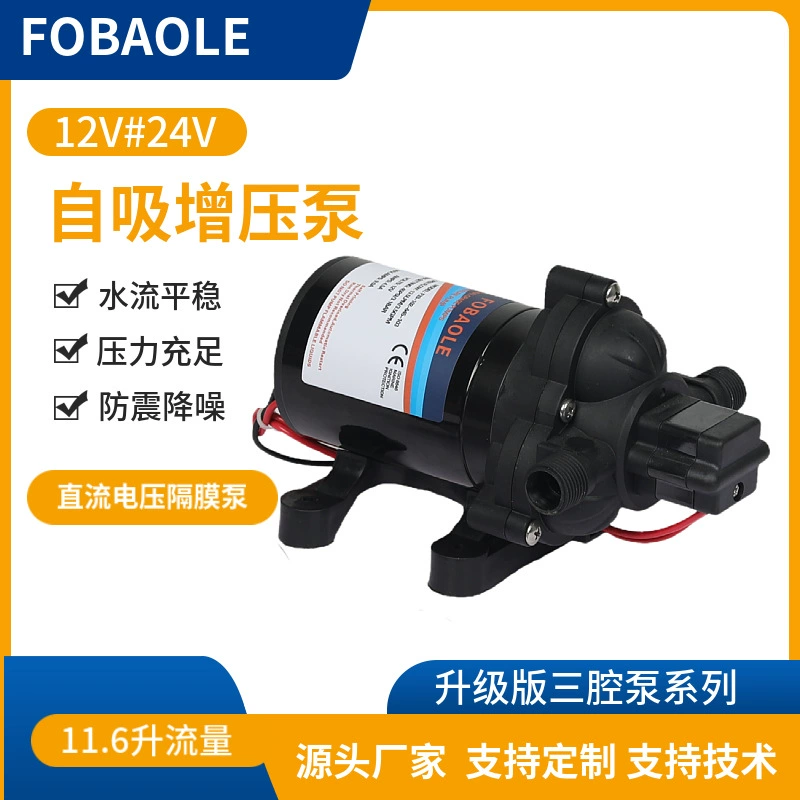 Трансграничные горячие продажи RV водяной насос диафрагменный насос постоянного тока электрический самовсасывающий насос RV очиститель водяного насоса распылитель автомобильный насос