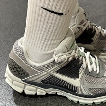 �����ܲ�ЬroV5�͎ͼ�ԭ�W����Homom�p��p���\��Ь͸��eZoins��