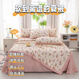 定制 新款泡泡棉夏凉被空调被单双人夏被春秋被子学生宿舍批发