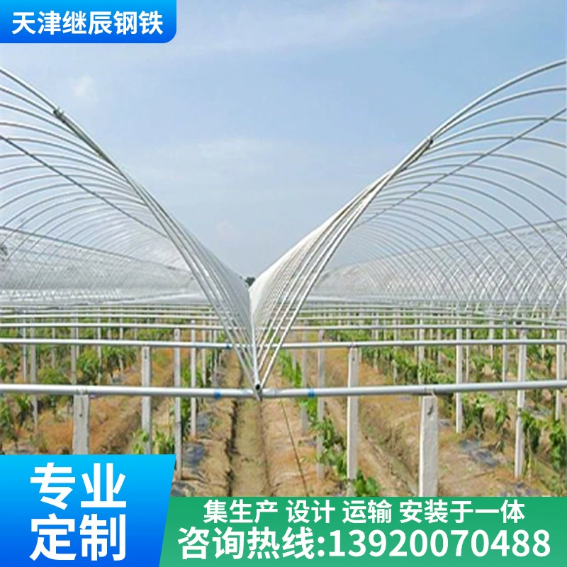 Тяньцзинь пятно теплица скелет оцинкованная круглая трубка квадратная трубка скелет овощной непрерывный скелет теплицы для разведения теплицы оптом