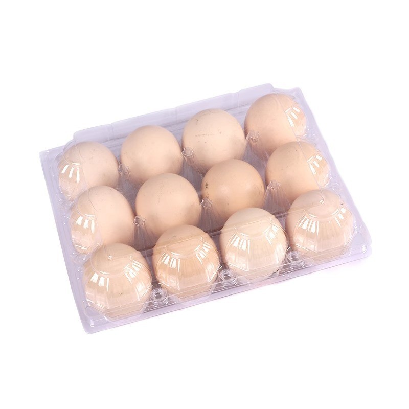 transparent disposable 12-hole egg packing box tray plastic thickened box holder factory direct free shipping fresh-keeping seal