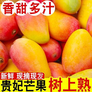 �����F��â5/10���b�����F��â�����l�������rˮ�������t����