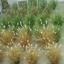 ֲ����β�ݹ�β���JȔëë�ݙ����b����Ѳ݅��݈F���^�쾰����