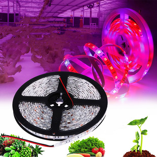 �羳12V5050ֲ���3:1/4:1/5:1ȫ���V��̫����L�a�����ܛ��