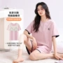 外穿新品短袖舒适家居服