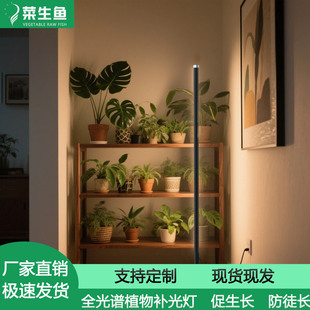 Side-Emitting Led Plant Fill Light Indoor Imitation Sunlight-Style Green Plant Succulent Special Led Growth Light to Promote Color Development