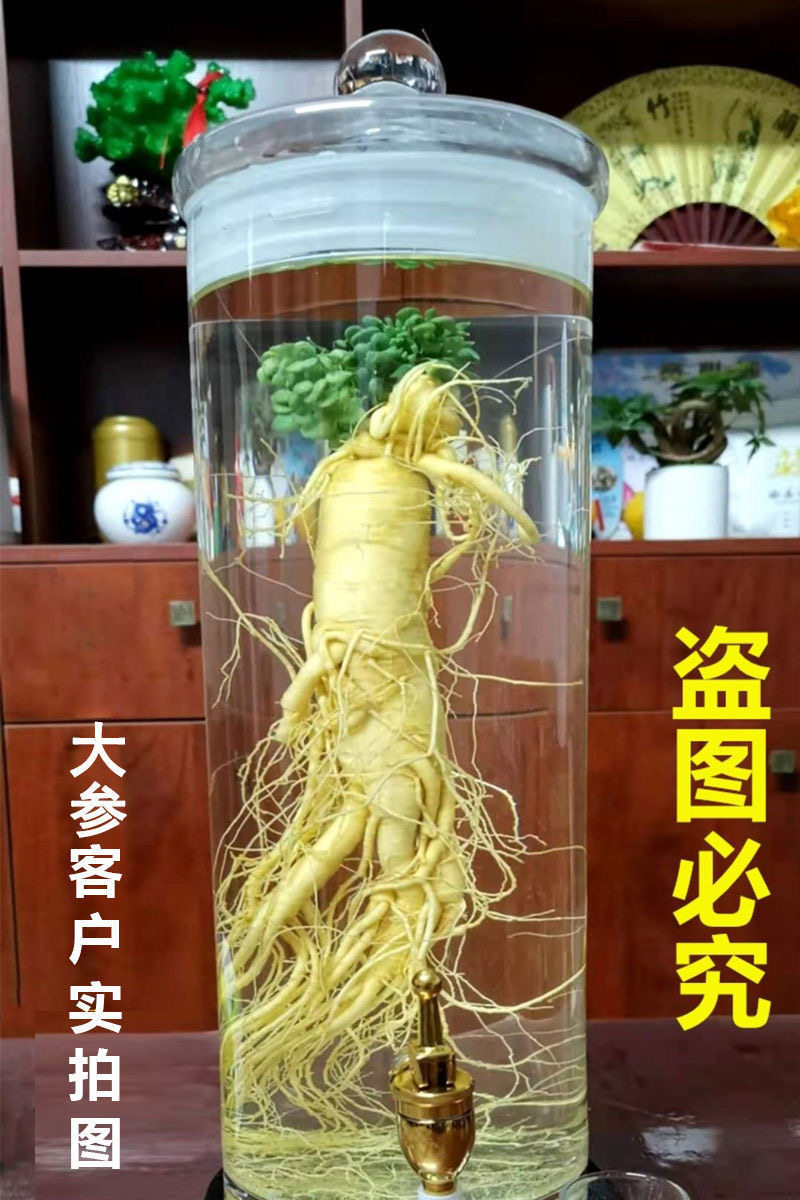 Ginseng Root Ren Shen 长白山人参 Whole Dried Root for Wine Infusion and Cooking 100g quality and texture
