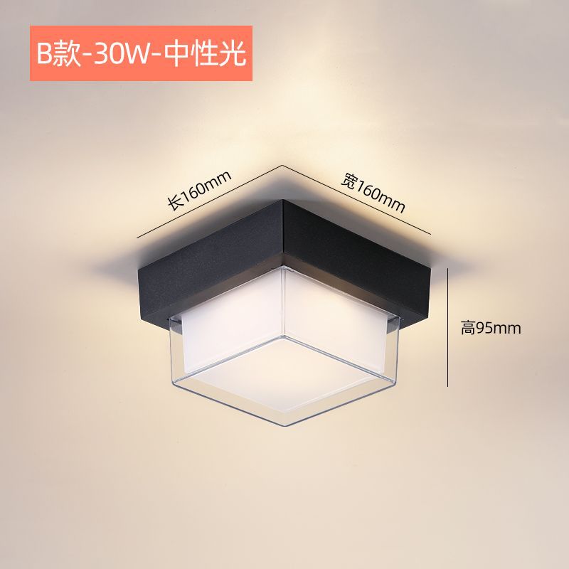 Type b square 30w neutral light