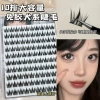 10 rows free rubber dog system