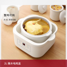 電燉盅隔水燉家用全自動燕窩燉盅寶寶煮粥煲湯燉鍋4-5