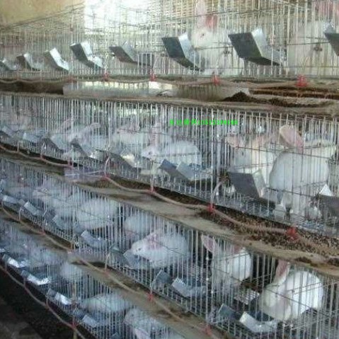 批发养殖鸡鸽兔笼动物笼子母笼商品笼兔子笼铁丝笼子宠物笼