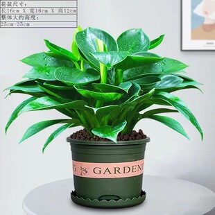�k�����B�辰ֲ�ļ����湫���f��ù��������҃Ȼ����f����Gֲ
