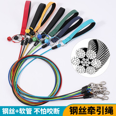 新款宠物狗狗专用钢丝绳牵引绳防咬耐用包胶钢丝绳大小型犬遛狗绳