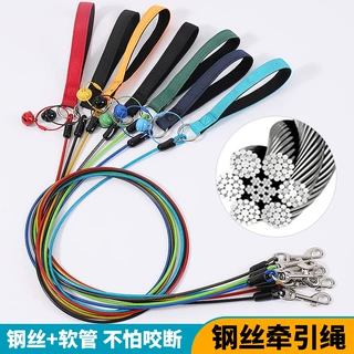 新款宠物狗狗专用钢丝绳牵引绳防咬耐用包胶钢丝绳大小型犬遛狗绳