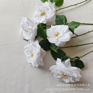 ���滨��ɫ����¼�õ�廨 �����Ʒ�|����diy�����Ĕz���߹��S�r