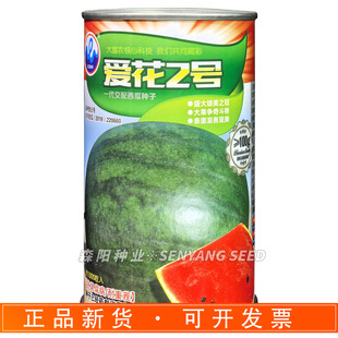 �˳��ۻ�2̖�����ϷN���������Ƥ�t��߮a�����������ز�����