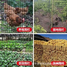 塑料围网黑色土工格栅养鸡塑料围栏网家用养殖防护网隔离围栏网