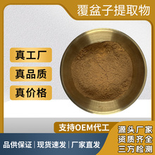 覆盆子提取物10:1食品原料水溶性覆盆子粉药食同源比例萃取浓缩粉