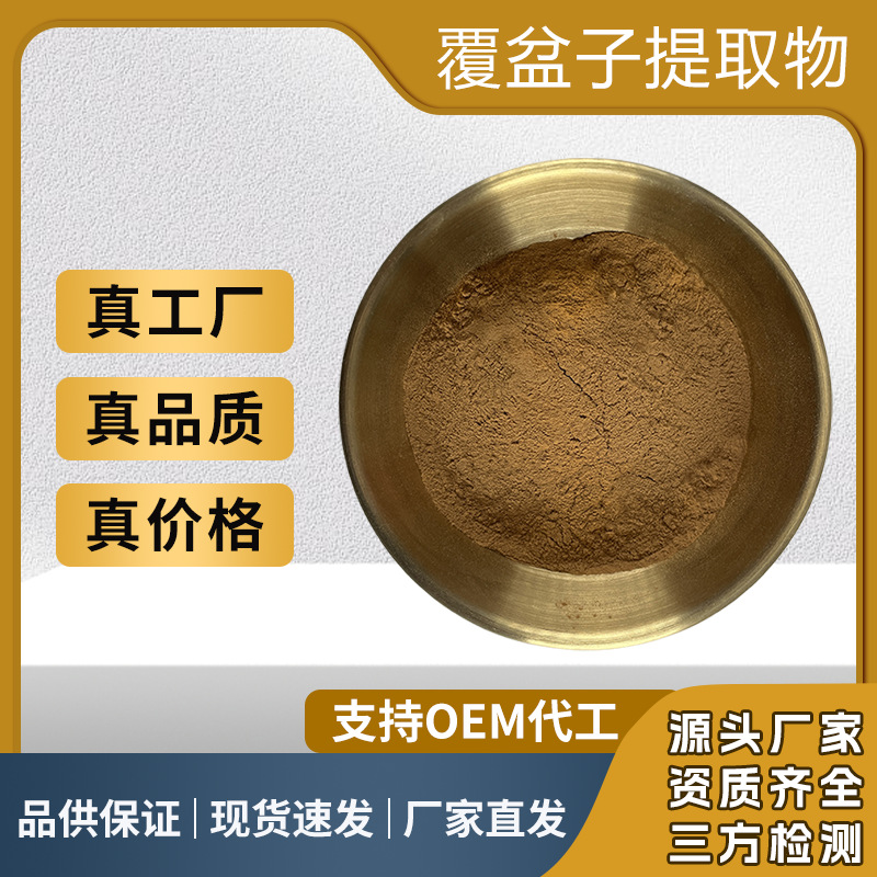覆盆子提取物10:1食品原料水溶性覆盆子粉药食同源比例萃取浓缩粉