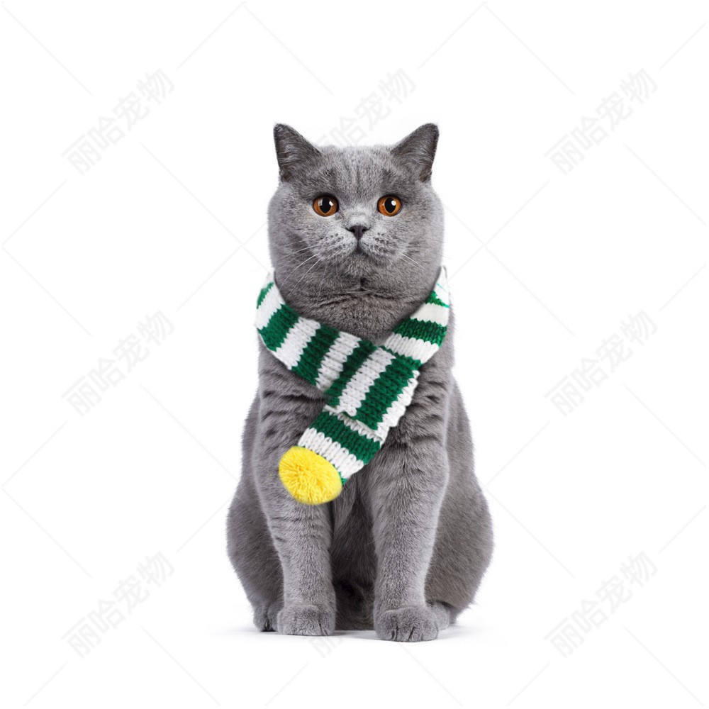 Halloween Ghost Festival disfrazado de mascota diablillos cuernos ornamentales tiara diadema accesorios para mascotas joyería diadema