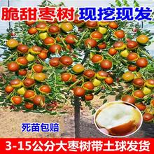 ش󱱷ϷԵͥԺYz󗗘޽ӹ