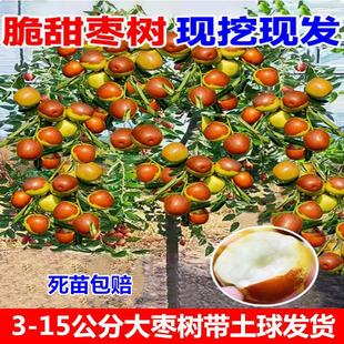 ��������ش󱱷��Ϸ����Ե�ͥԺ����Y����z���󗗘���޽ӹ���