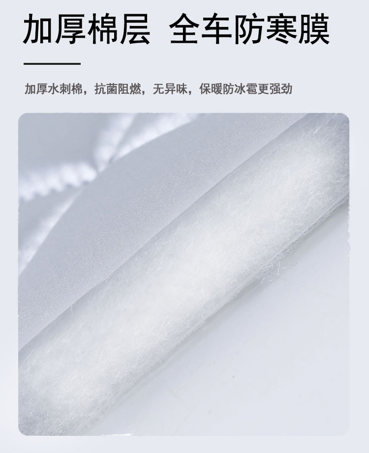 主5