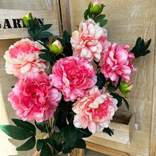 ĵ�� ��ș ���Fĵ�� ����Ҿӵ������l¶ɏ���滨��c�ٻ�