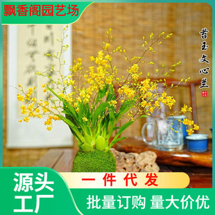 һ�����l������ �S���������m ̦�\���������ܝ������҃ȿ͏d����