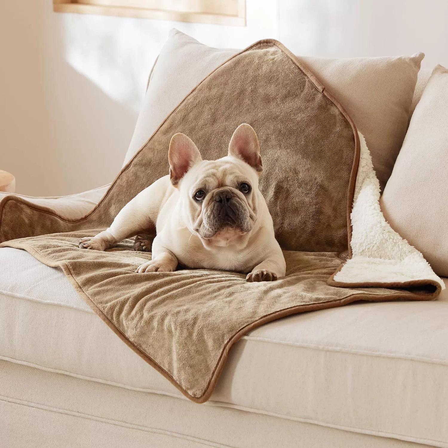 Водонепроницаемое одеяло для собак