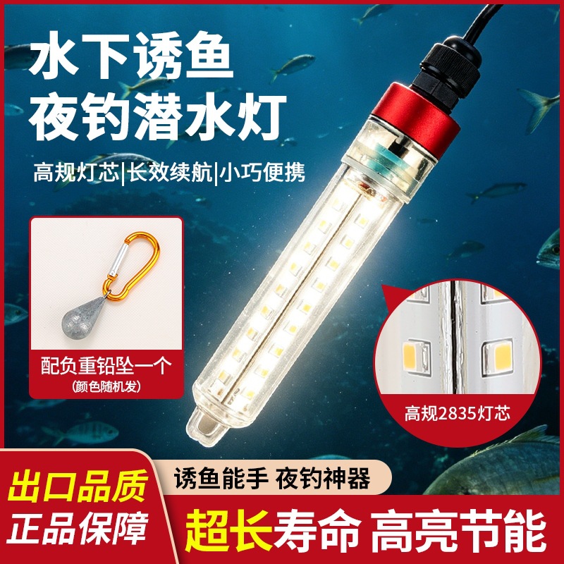 Ice Fishing Raft Fishing Lure Light, Underwater Super Bright Night Fishing Light, Waterproof 12V Fishing Light, Led Fish Gathering Light, Fish Attracting Light