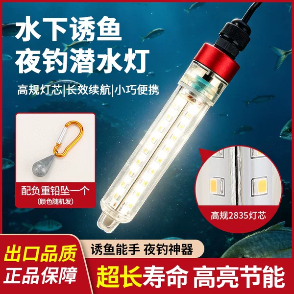 Ice Fishing Raft Fishing Lure Light, Underwater Super Bright Night Fishing Light, Waterproof 12V Fishing Light, Led Fish Gathering Light, Fish Attracting Light